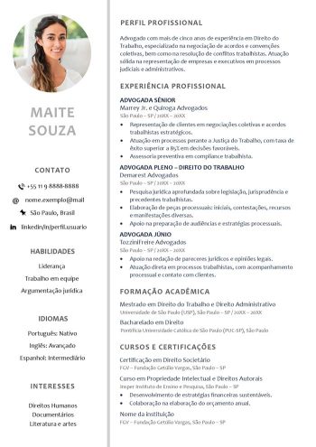modelo currículo cinza para sistemas ats word gratis